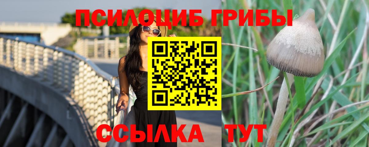 Псилоцибиновые грибы мухоморы  Вход с VPN  Раменское  Галлюциногенные грибы мухоморы 